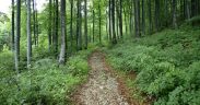 Park prirody ucka