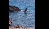Plaz fkk tomazevo krk chorvatsko
